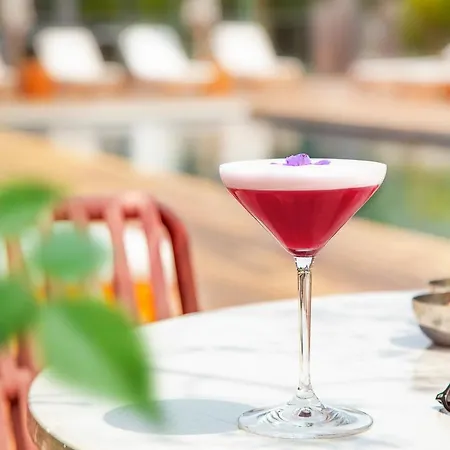 Jiva Hill - Geneve Hotel